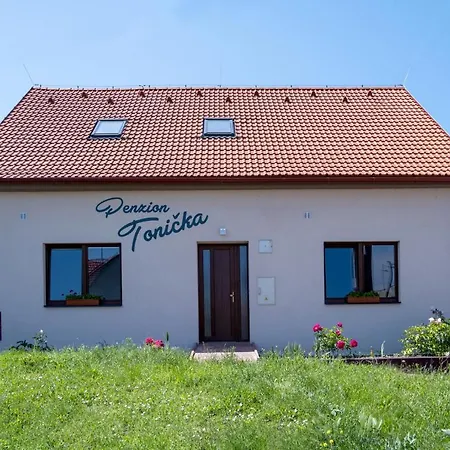 Tonicka בית הארחה 4*