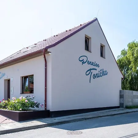 Tonicka Guest house *