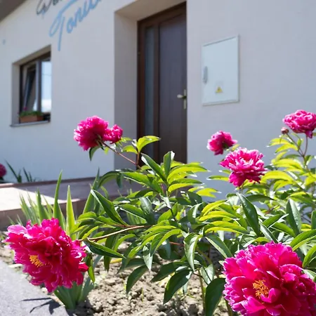 בית הארחה Tonicka בולהארי