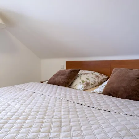 Tonicka בית הארחה 4*